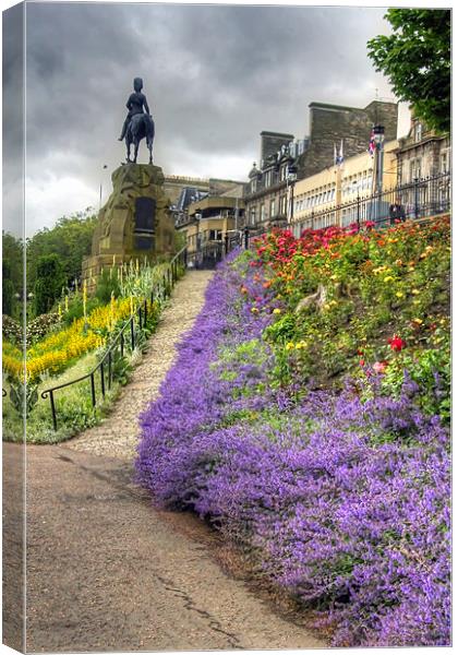 Lavender in the Park Canvas Print by Tom Gomez