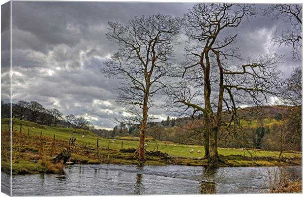 The River Rothay Canvas Print by Tom Gomez