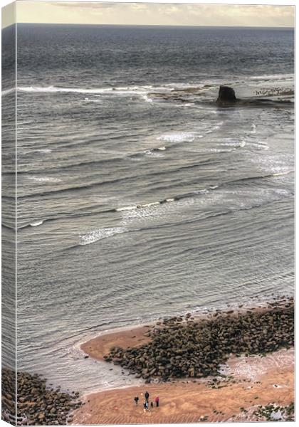 Walking in Saltwick Bay Canvas Print by Tom Gomez