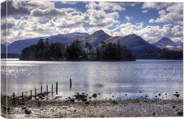 Derwent Island in March 2013 Canvas Print by Tom Gomez