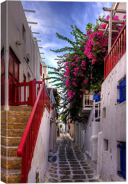 Flowers in a Mykonos Lane Canvas Print by Tom Gomez