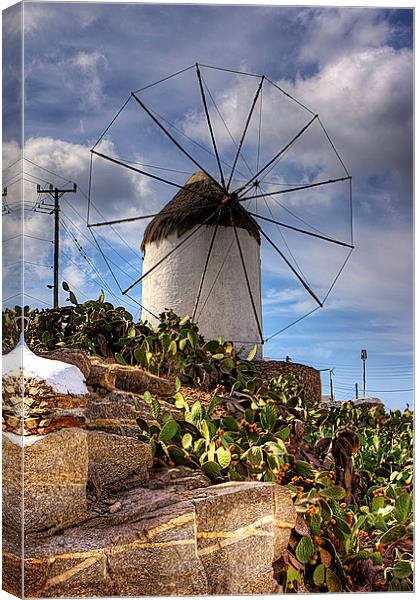 Windmill in a Pricky Pear field Canvas Print by Tom Gomez