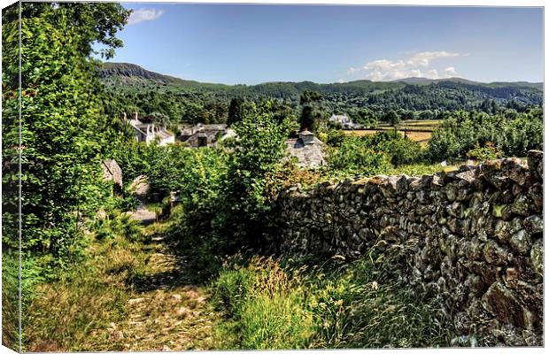 Eskdale Mill Lane Canvas Print by Tom Gomez