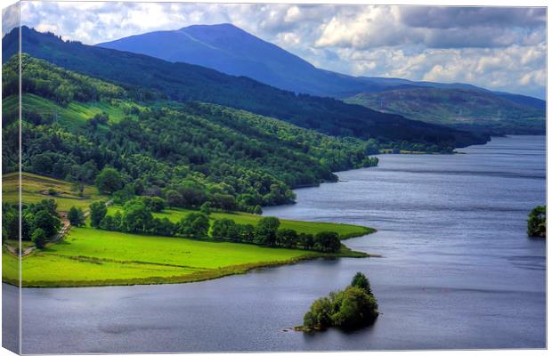 Schiehallion Canvas Print by Tom Gomez