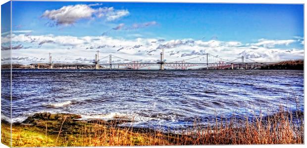 New Forth Crossing - 3 March 2015 Canvas Print by Tom Gomez