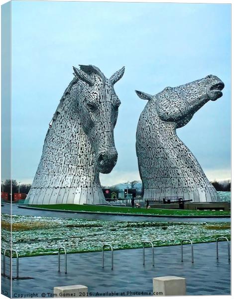 The Kelpies in January Canvas Print by Tom Gomez