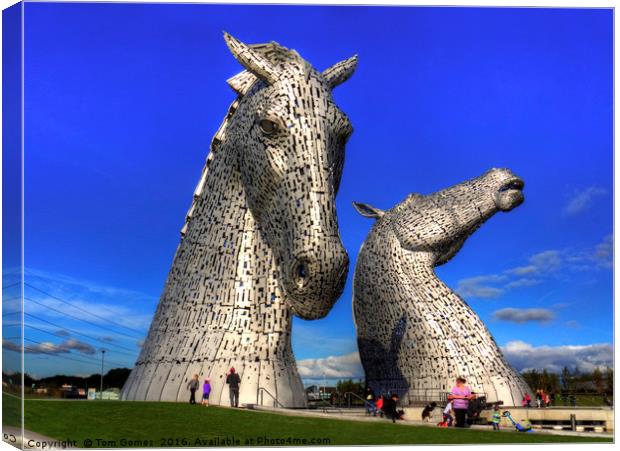 Kelpies at The Helix Canvas Print by Tom Gomez