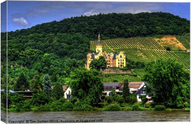 Schloss Arenfels Canvas Print by Tom Gomez