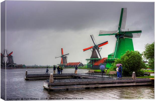 Windmills on the River Zaan Canvas Print by Tom Gomez