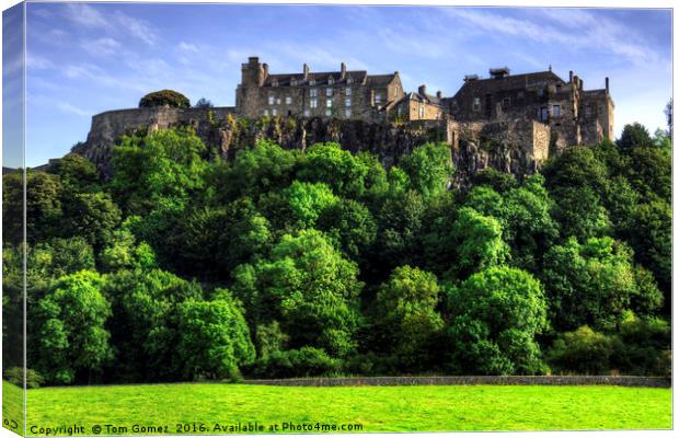 Stirling Castle Canvas Print by Tom Gomez