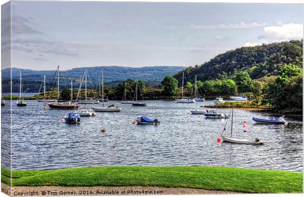 Tayvallich Bay Canvas Print by Tom Gomez