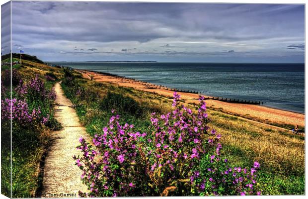 Whitstable Beach Canvas Print by Tom Gomez