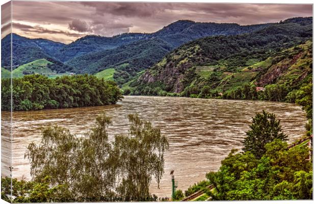 A Bend in the Danube Canvas Print by Tom Gomez