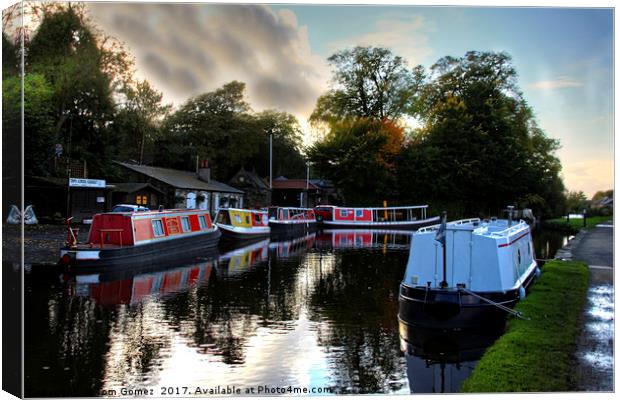 Linlithgow Canal Centre Canvas Print by Tom Gomez