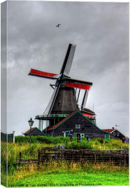 Dutch Windmill Canvas Print by Tom Gomez