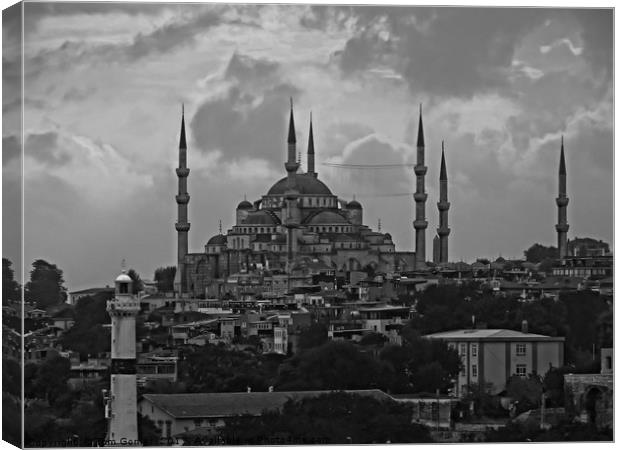 The Blue Mosque, Istanbul - B&W Canvas Print by Tom Gomez
