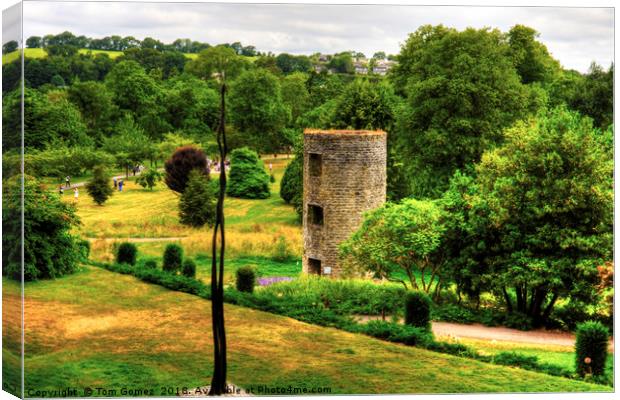 Blarney Castle Lookout Tower Canvas Print by Tom Gomez