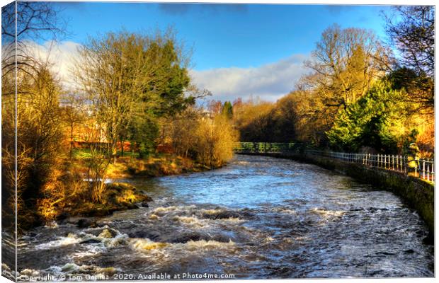 The Allan Water in February Canvas Print by Tom Gomez