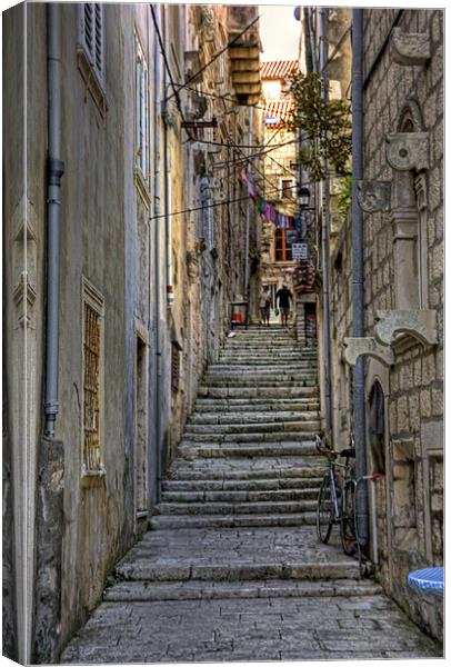 Watch Your Step Canvas Print by Tom Gomez