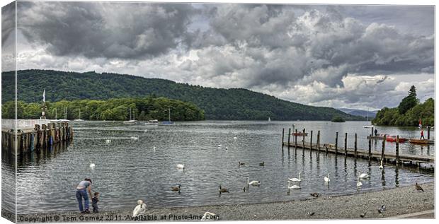 View over Windermere Canvas Print by Tom Gomez