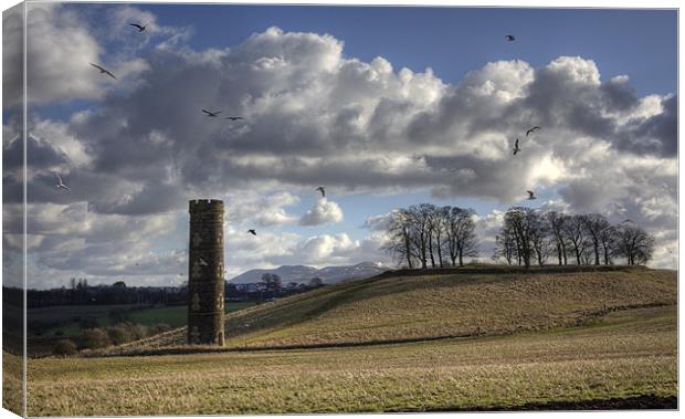 Cammo Tower Canvas Print by Tom Gomez