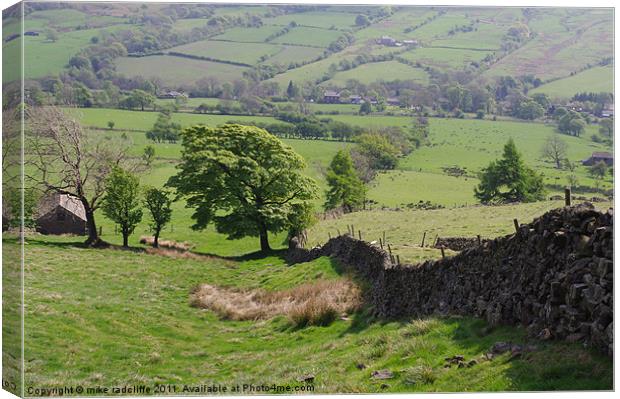 Edale valley Canvas Print by mike radcliffe