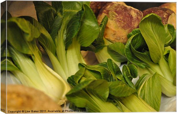 Bok Choy and Turnip Medley Canvas Print by Lise Baker