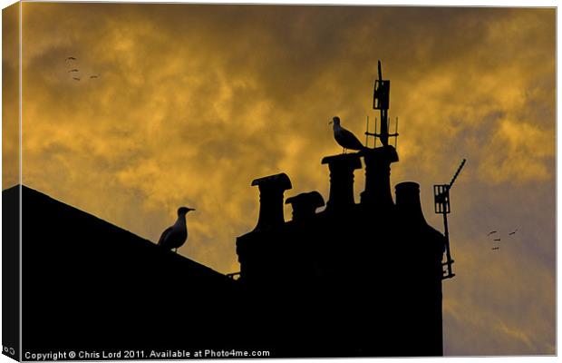 Chimneys of Brighton Canvas Print by Chris Lord