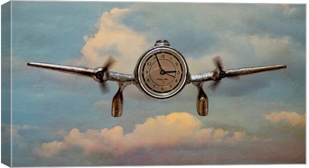 Time Flies Canvas Print by Chris Lord