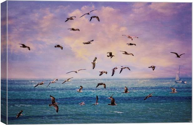 Gulls at Sunrise Canvas Print by Chris Lord