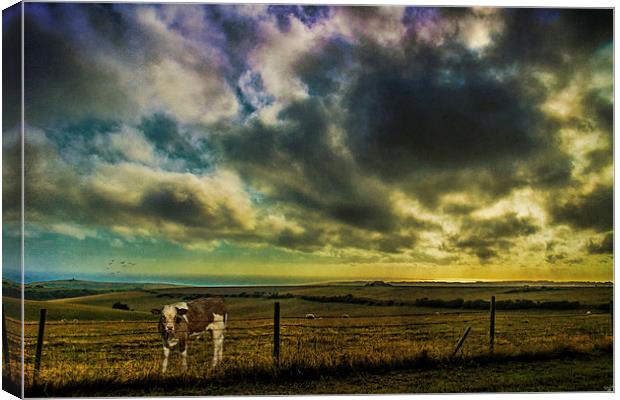 Up on the Downs Again Canvas Print by Chris Lord