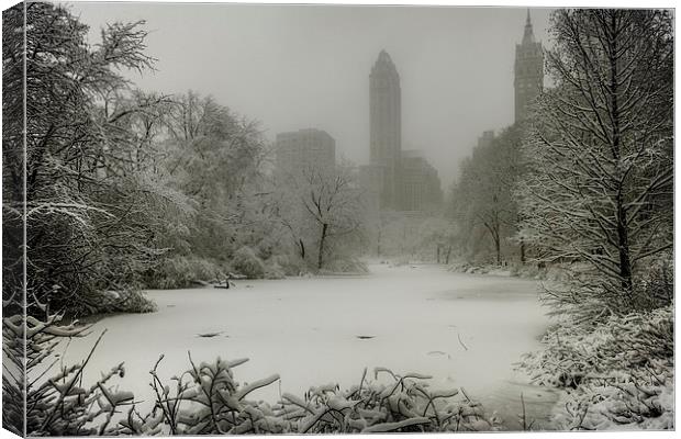 Frozen In New York City Canvas Print by Chris Lord