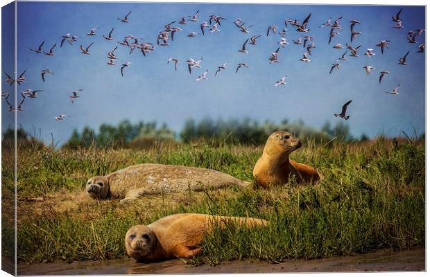 On The Estuary Canvas Print by Chris Lord