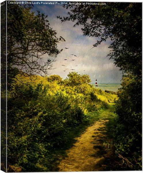  On The Path To The Sea Canvas Print by Chris Lord
