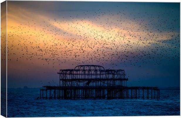 West Pier Murmuration At Sunset Canvas Print by Chris Lord