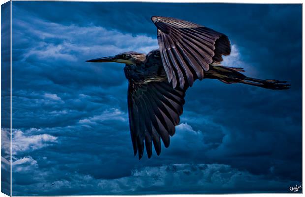 The Stormbringer Canvas Print by Chris Lord
