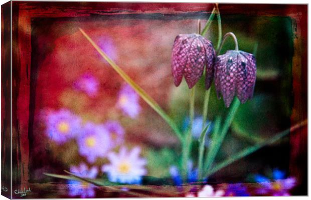 A Garden Fantasy Canvas Print by Chris Lord