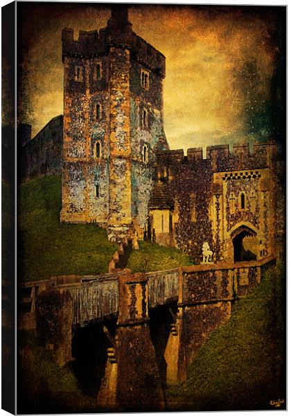 Portal To The Castle Canvas Print by Chris Lord