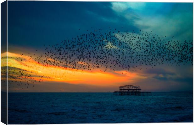 Starlings At Sunset Over The West Pier Canvas Print by Chris Lord