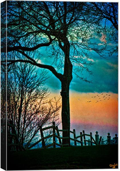 As Evening Falls Canvas Print by Chris Lord
