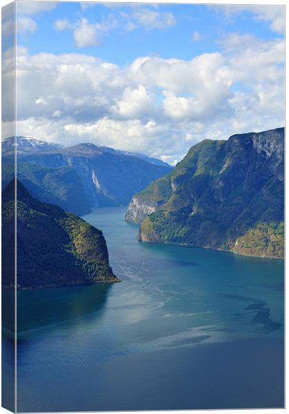 Blue Fjord Canvas Print by Stuart Hough