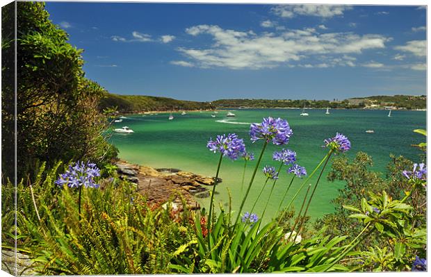 Summer in the Bay Canvas Print by Stuart Hough