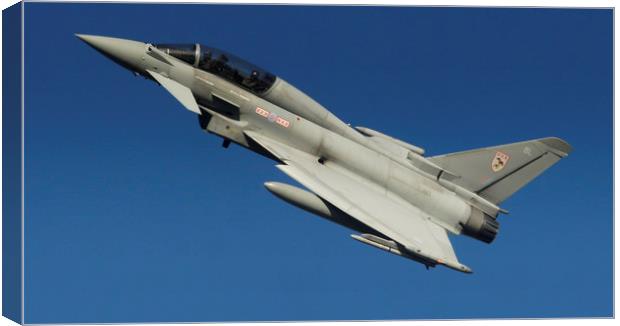 Eurofighter Typhoon Canvas Print by Karl Butler