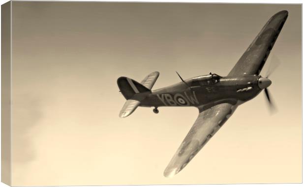 Hurricane in a hurry Canvas Print by Karl Butler