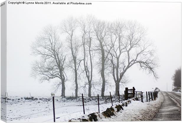 A Winter Morning Canvas Print by Lynne Morris (Lswpp)