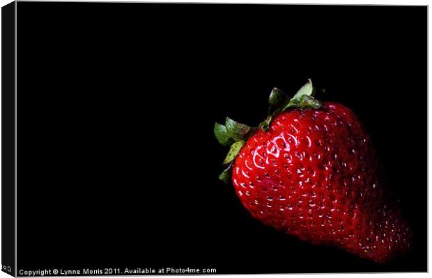 Ready To Eat Canvas Print by Lynne Morris (Lswpp)