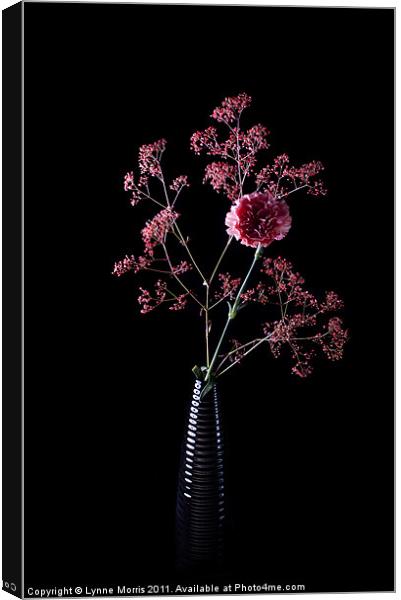 Pink And Black Canvas Print by Lynne Morris (Lswpp)