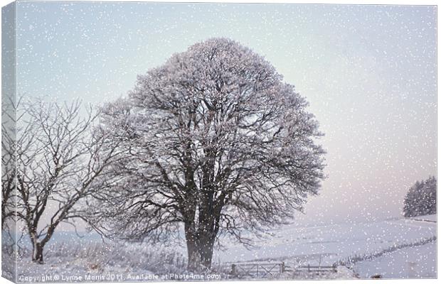 A Winter Scene Canvas Print by Lynne Morris (Lswpp)
