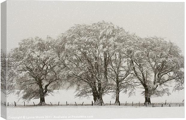 Winter Trees Canvas Print by Lynne Morris (Lswpp)