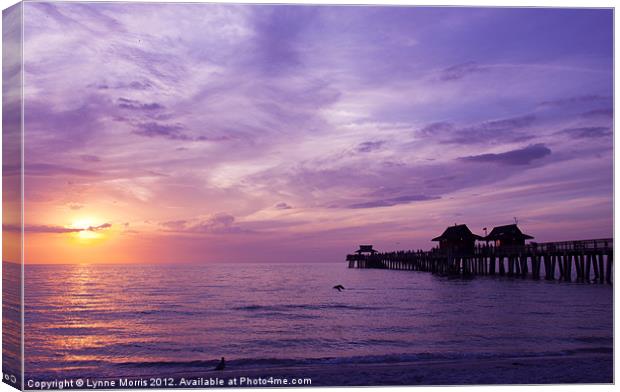 Purple Sunset Canvas Print by Lynne Morris (Lswpp)